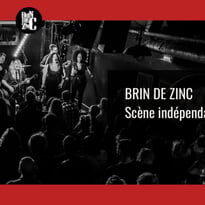 Le brin de zinc