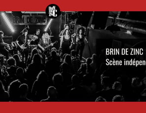 Le brin de zinc