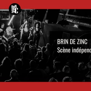 Le brin de zinc
