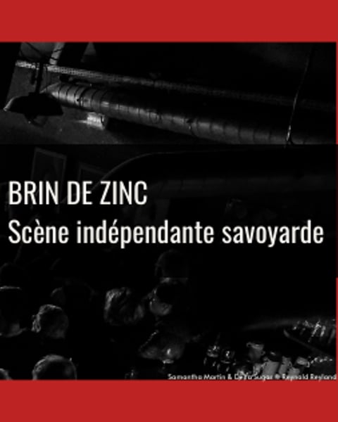 Le brin de zinc
