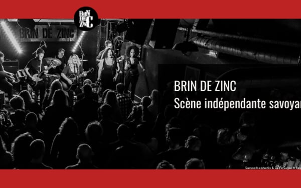 Le brin de zinc
