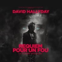 David Hallyday : Requiem pour un fou, Tournée