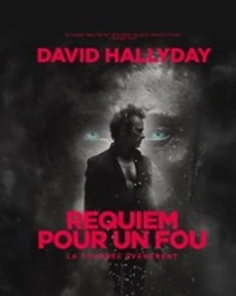 David Hallyday : Requiem pour un fou
