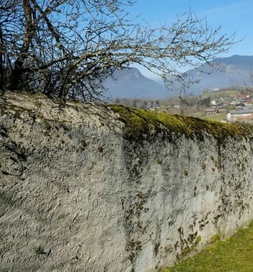 Histoires du village et du château du Châtelard