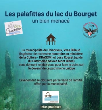Les Palafittes du lac du Bourget un bien menacé
