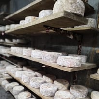 Plongez au cœur de la tradition à la ferme de la Trantsa !