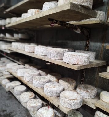 Plongez au cœur de la tradition à la ferme de la Trantsa !
