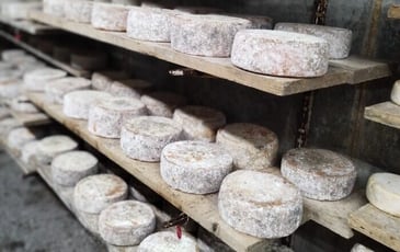 Plongez au cœur de la tradition à la ferme de la Trantsa !