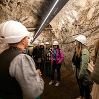 Visite guidée de l'abri antiaérien Nézin, Albert Perriol