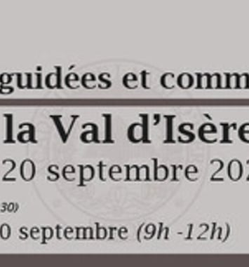 Visite guidée du Musée d'Histoire et d'Archéologie et des locaux d'une Société Savante de Savoie