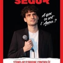 Monsieur Ségur dans À quoi ça sert l'amour ?