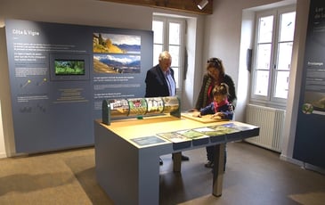 Musée de la vigne et du vin de Savoie