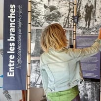 Exposition « Entre les branches, à l'affût des émotions partagées en forêt »