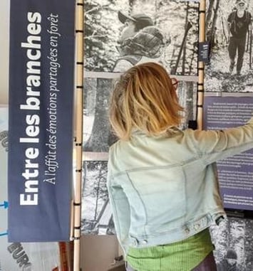 Exposition « Entre les branches, à l'affût des émotions partagées en forêt »