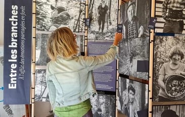 Exposition « Entre les branches, à l'affût des émotions partagées en forêt »