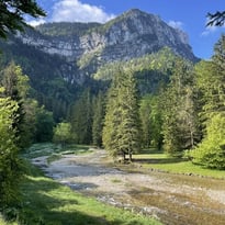 Visite sylviculture : la forêt de Chartreuse