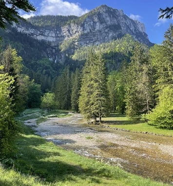Visite sylviculture : la forêt de Chartreuse