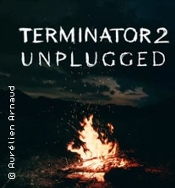 Terminator 2 Unplugged