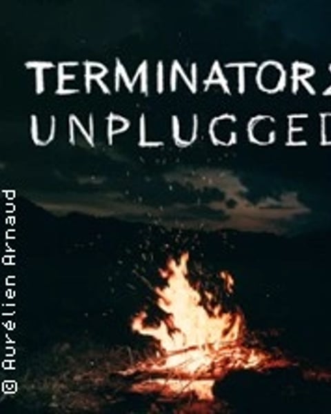 Terminator 2 Unplugged