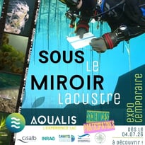Sous le miroir lacustre