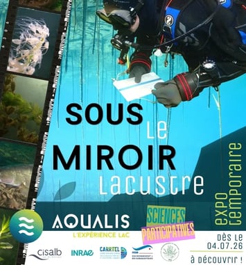 Sous le miroir lacustre