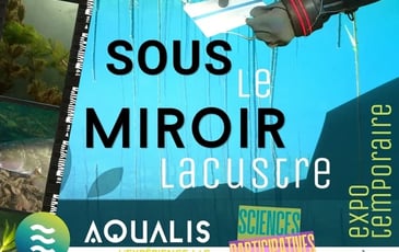 Sous le miroir lacustre