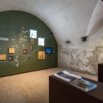 Visite de l'espace de médiation des gravures rupestres