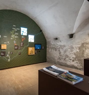 Visite de l'espace de médiation des gravures rupestres