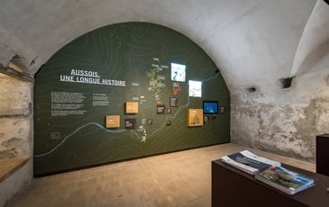 Visite de l'espace de médiation des gravures rupestres