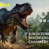 Exposition Dinomania — Salon des Minéraux (7ᵉ édition)