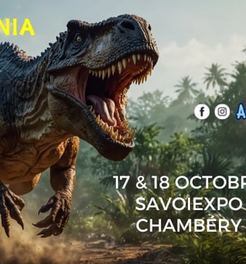 Exposition Dinomania — Salon des Minéraux (7ᵉ édition)