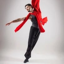 Les 4 Saisons, Le Ballet
