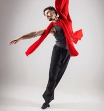 Les 4 Saisons, Le Ballet