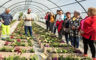 Visite guidée des serres municipales
