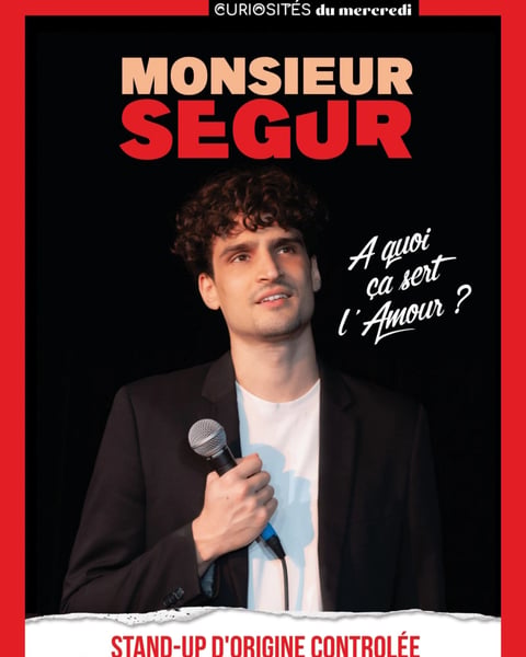 Monsieur Ségur dans À quoi ça sert l'amour ?